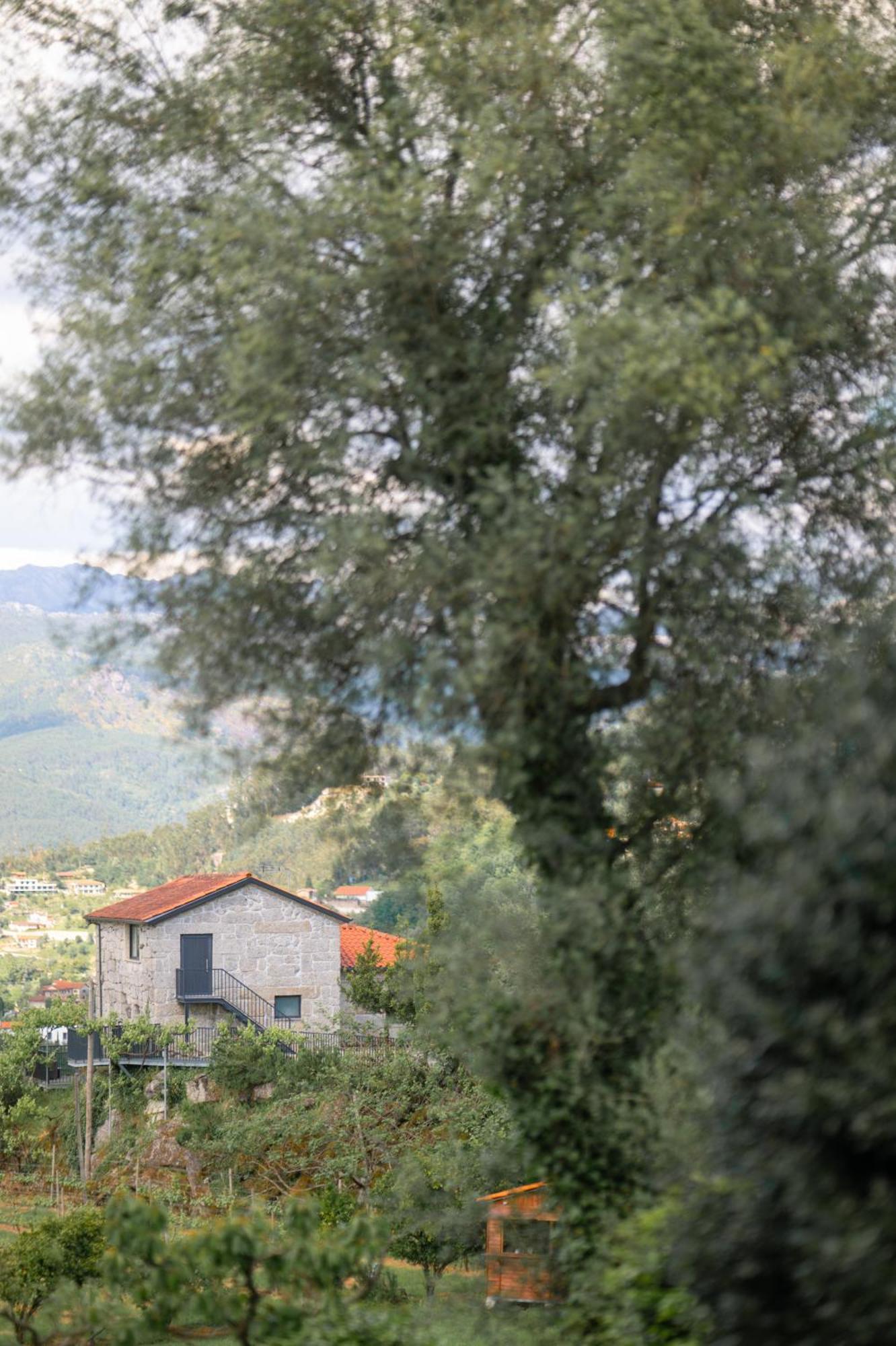 Quinta De Calvelos Виейра-ду-Минью Экстерьер фото