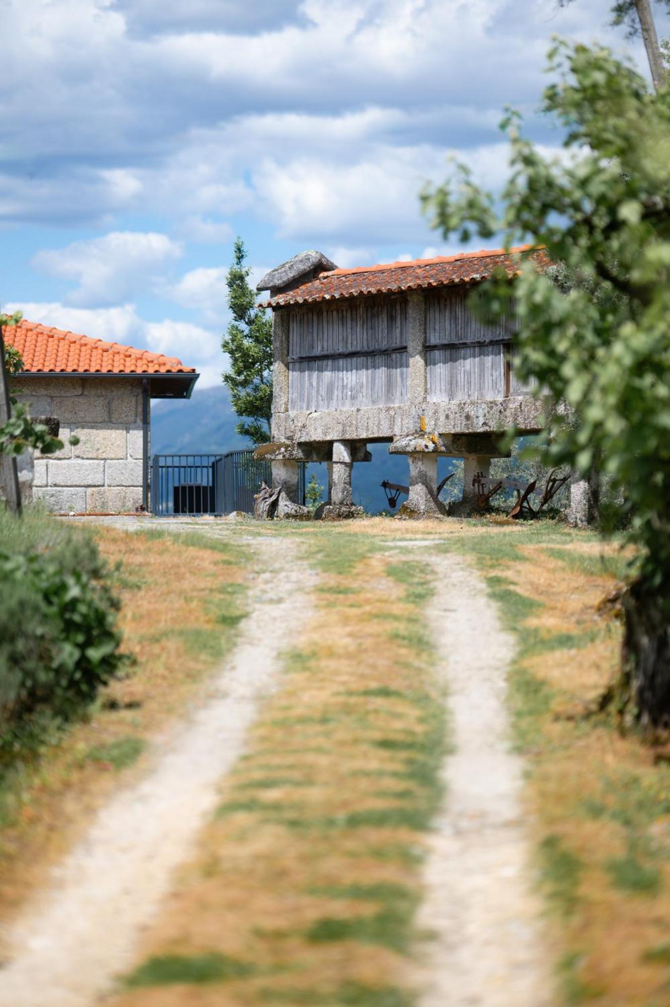 Quinta De Calvelos Виейра-ду-Минью Экстерьер фото