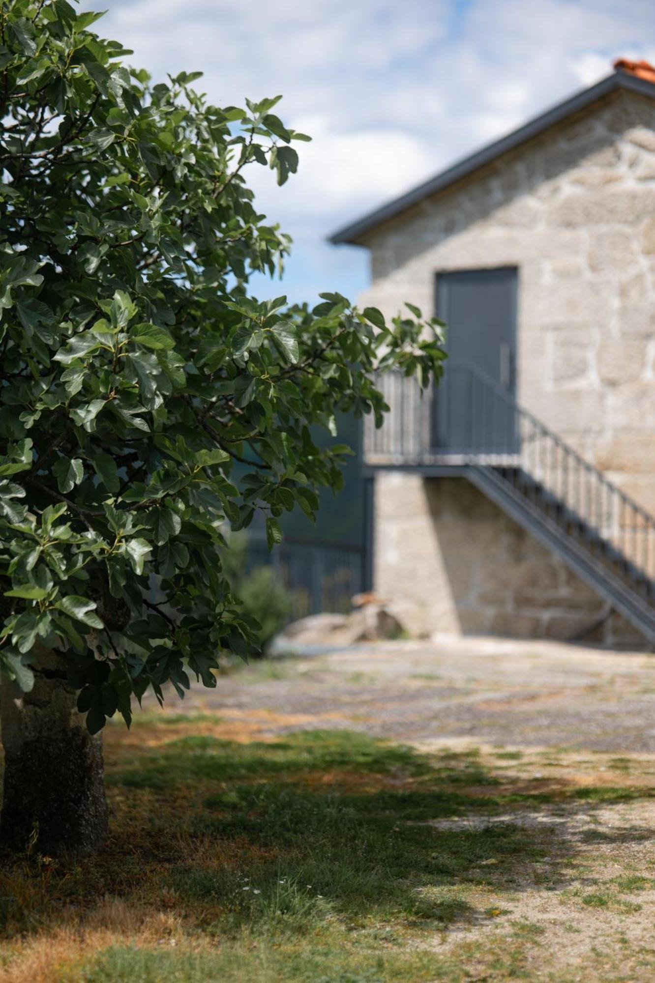 Quinta De Calvelos Виейра-ду-Минью Экстерьер фото